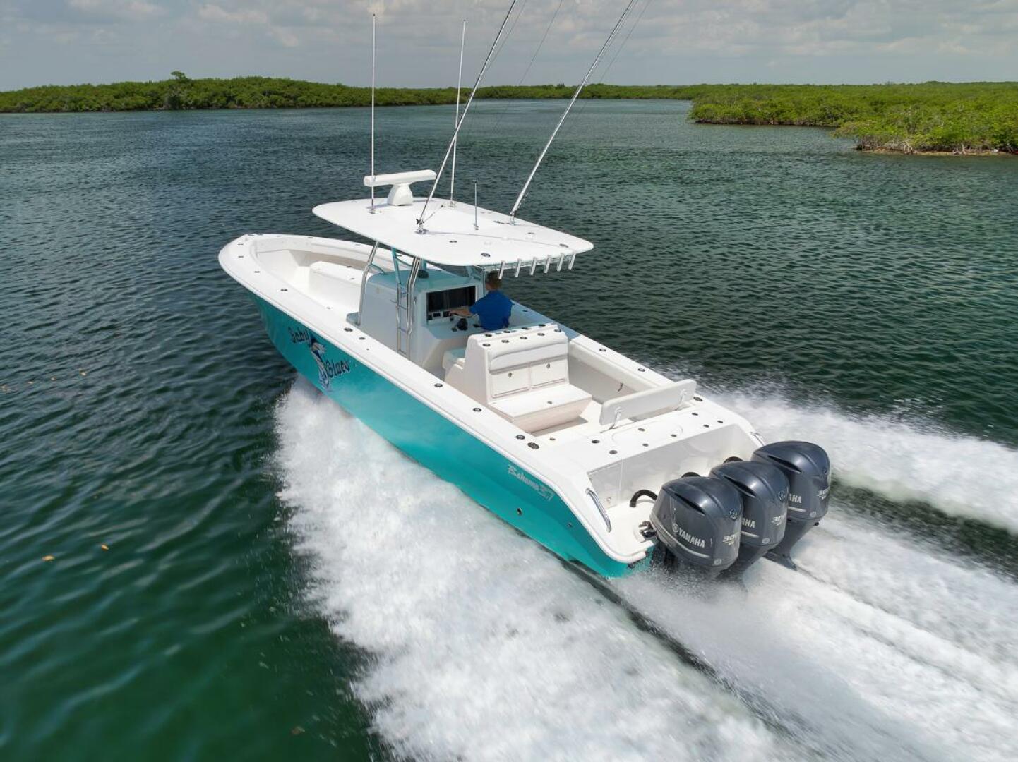 2013 Bahama "Baby Blues" - photo 1