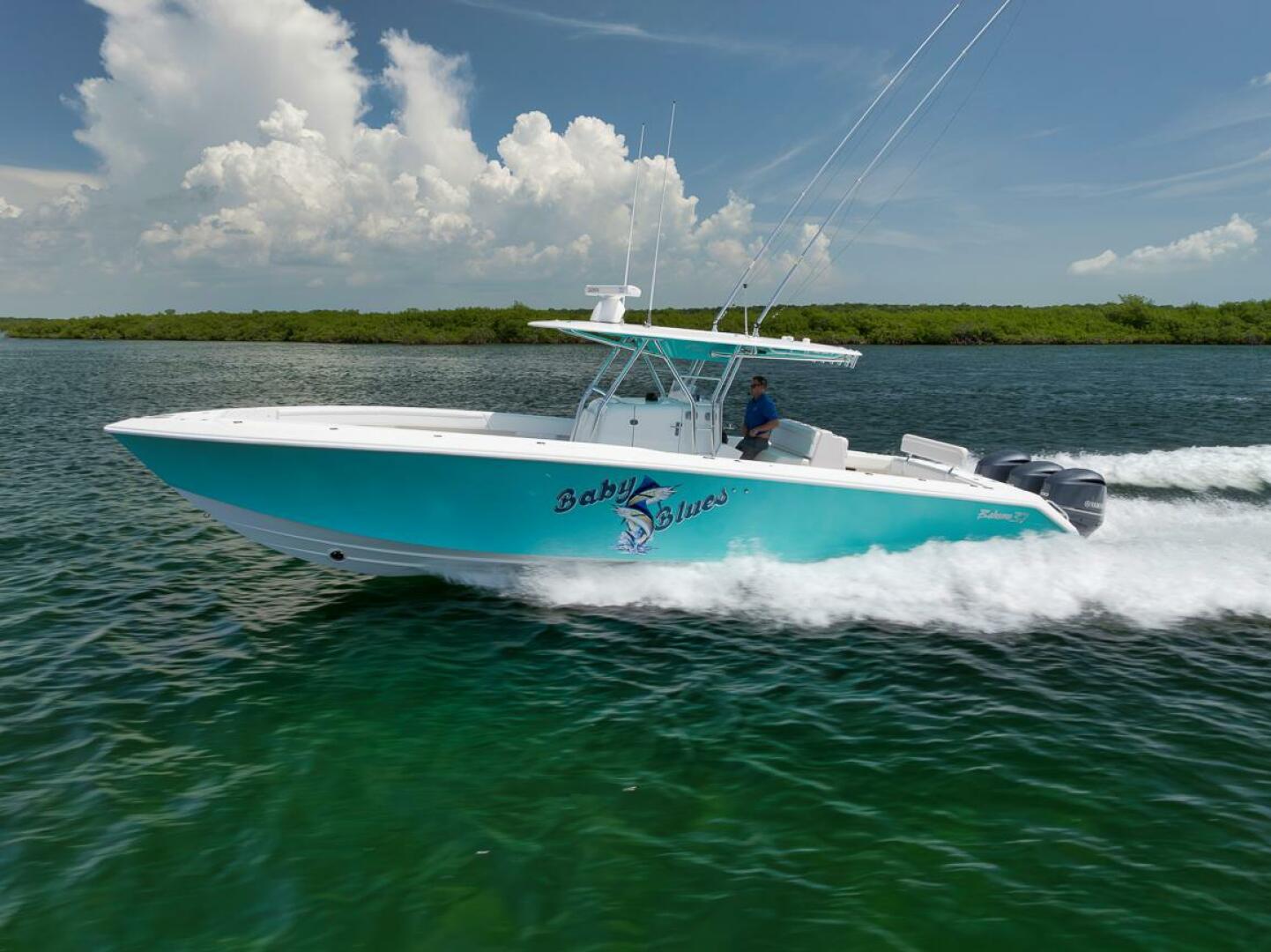 2013 Bahama "Baby Blues" - photo 3