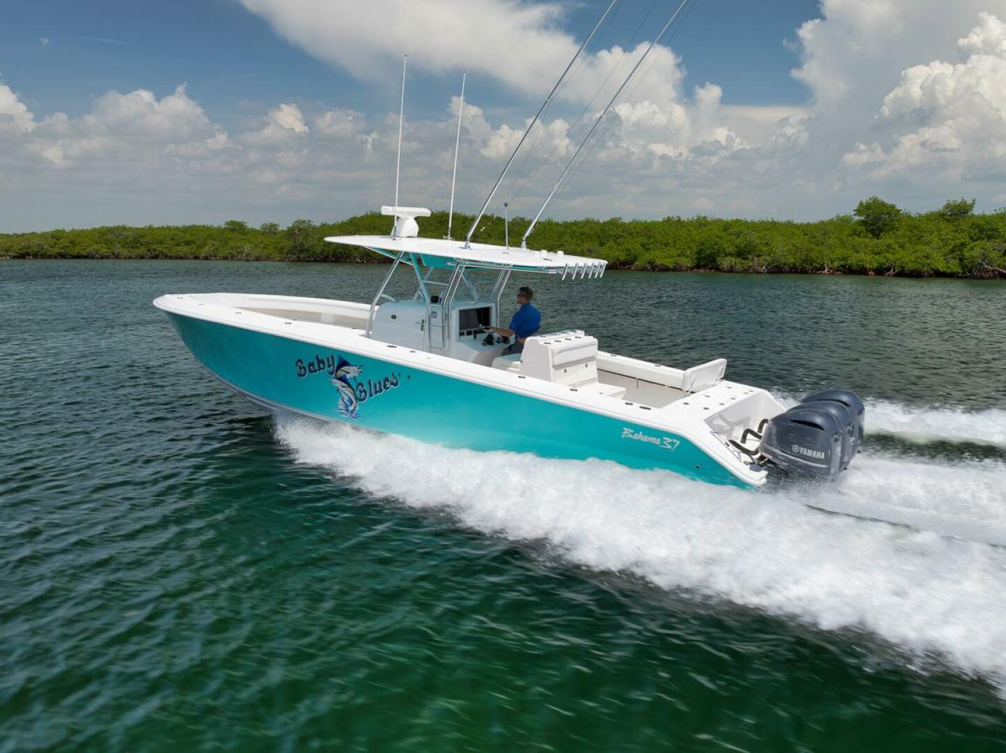 2013 Bahama "Baby Blues" - photo 2