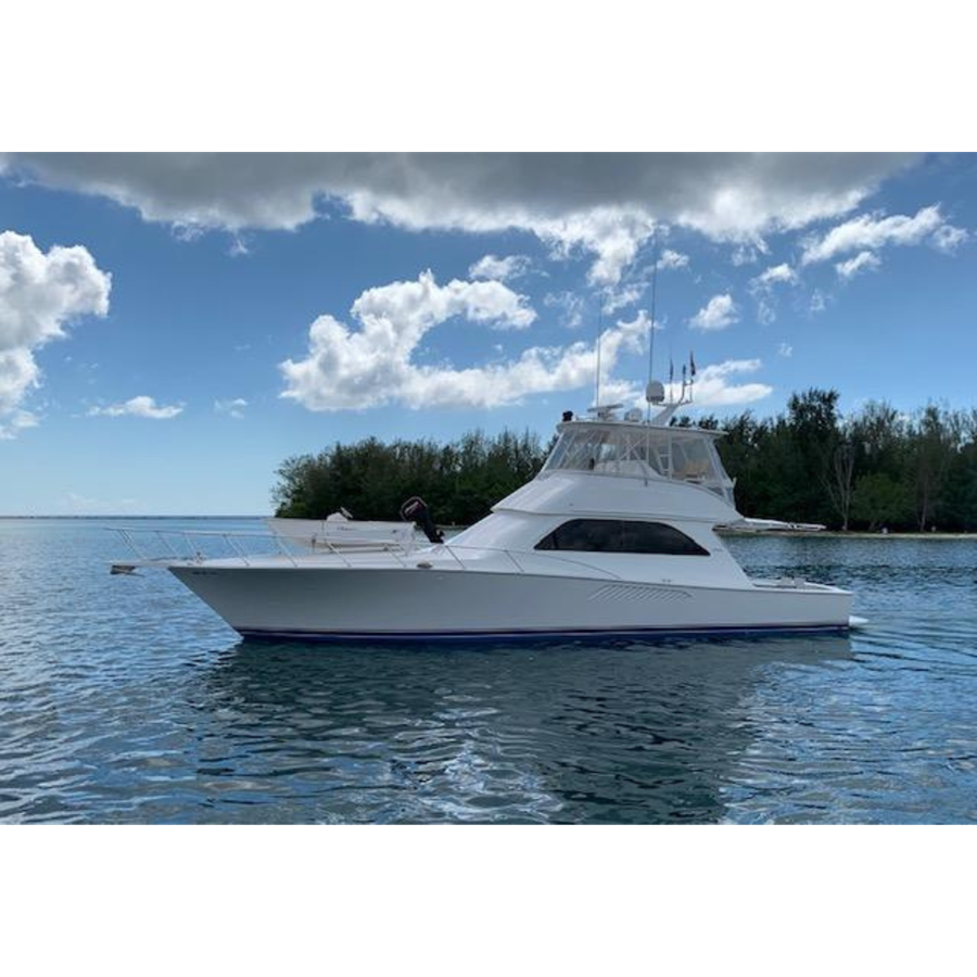 2003 VIKING "2003 VIKING" - photo 1