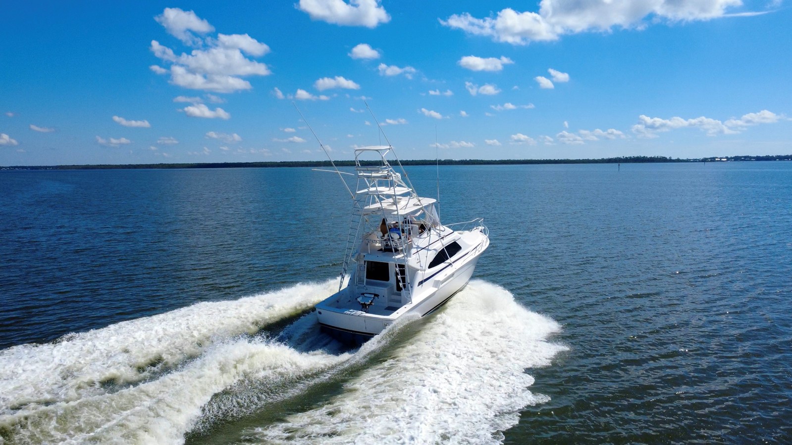 2005 BERTRAM 450 CV "BERTRAM 450 CV" - photo 3