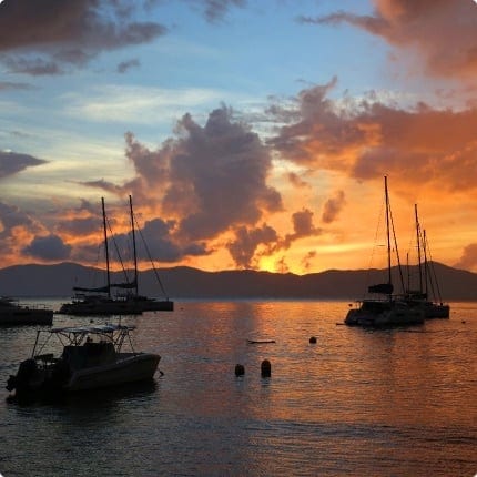 Palm-lined sandy beach walkway leading to turquoise Caribbean waters in the British Virgin Islands