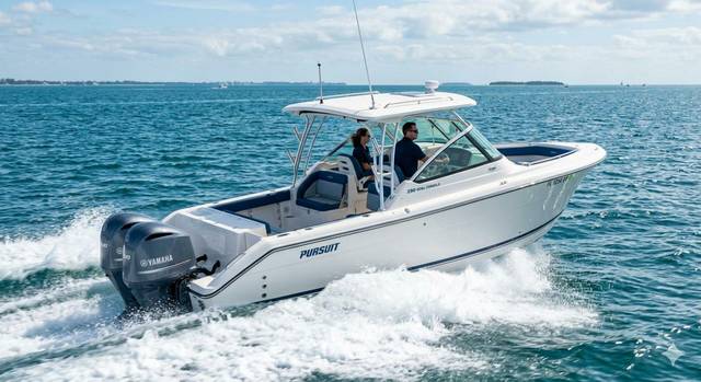 2017 Pursuit DC 295