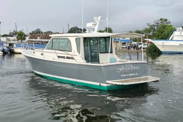 2023 Back Cove 372