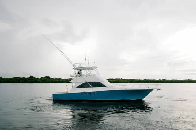 2003 Viking