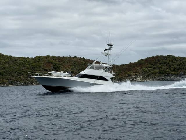 2004 Viking
