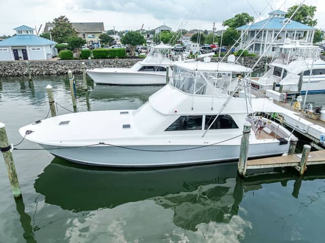 1995 Viking