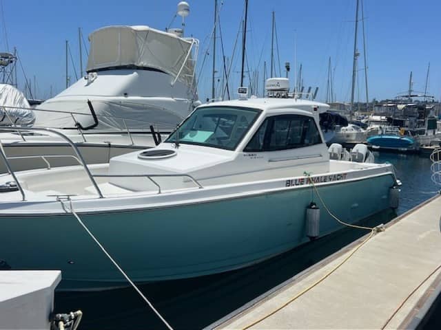 2024 Custom Blue whale 36OB
