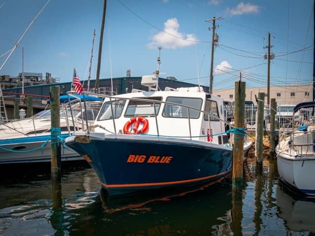 2019 Newton 36' Dive Special