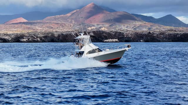 2025 Viking 38 Billfish