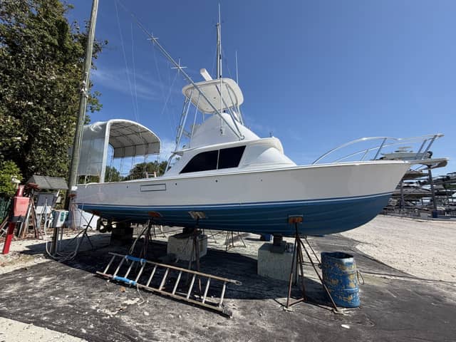 1977 Bertram 31 Flybridge