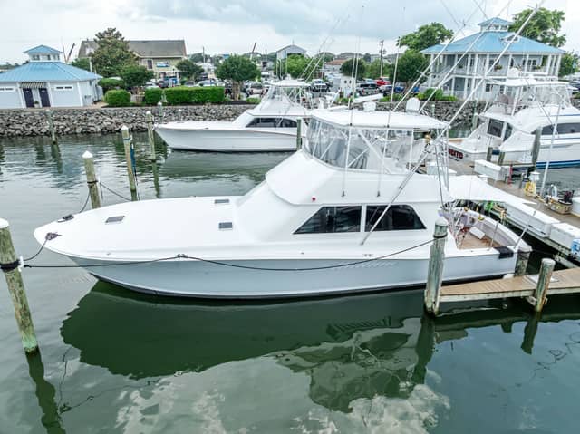 1995 Viking
