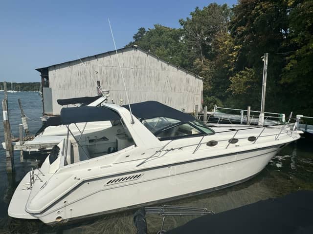 1995 Sea Ray Express Cruiser