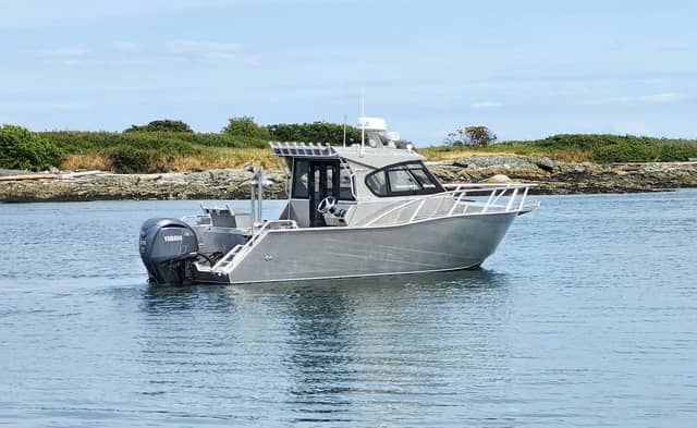 2024 Aluminum Cruiser Profisher 750