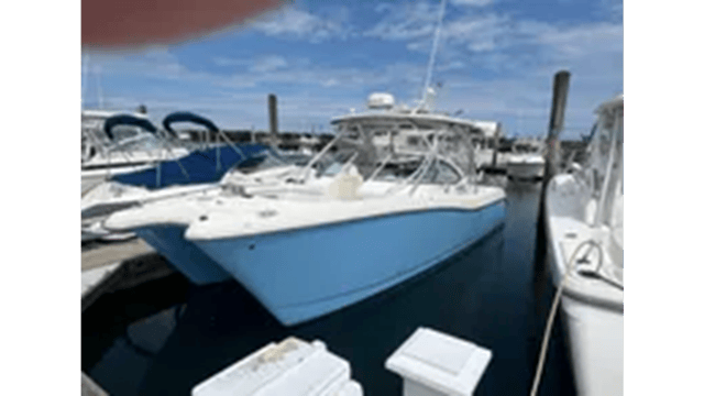 2009 WORLD CAT 290 D/C