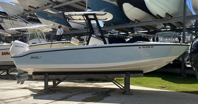 2022 BOSTON WHALER 250 Dauntless
