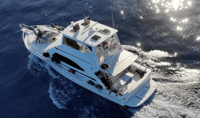 2004 BERTRAM Bertram 510