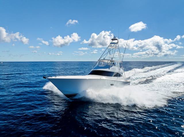 2019 VIKING Convertible
