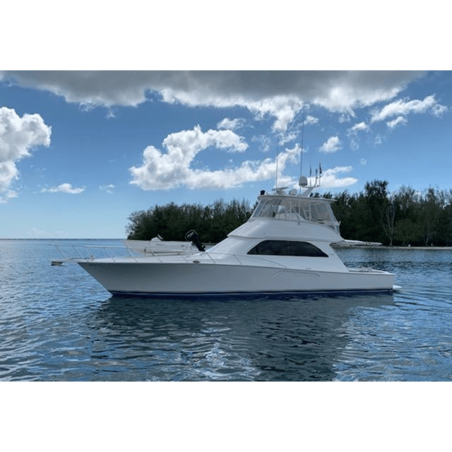 2003 VIKING