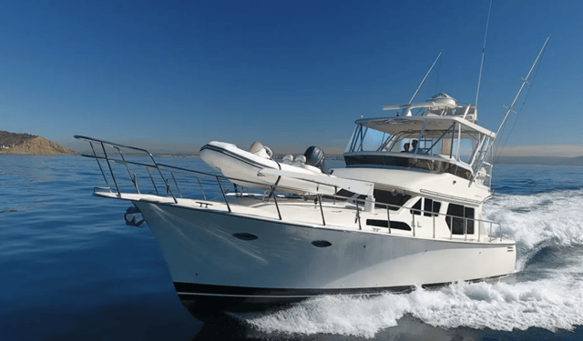 2009 MIKELSON 43 Sportfisher