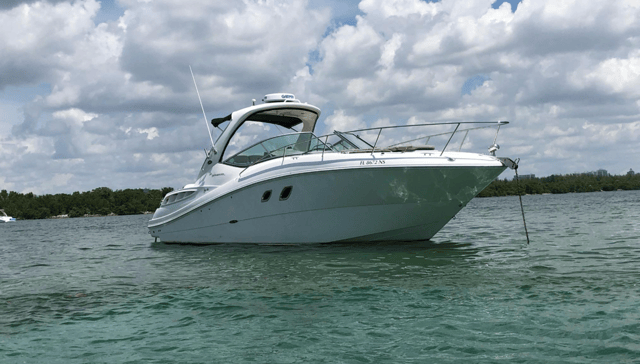 2008 SEA RAY 310