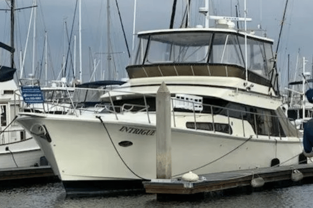 1999 MIKELSON 50 Sportfisher
