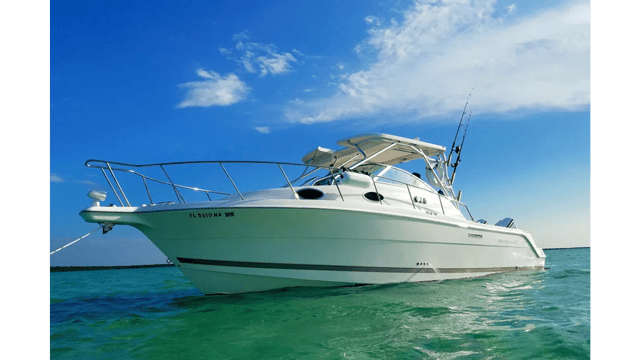 2005 WELLCRAFT 290 Coastal