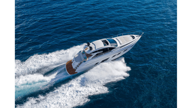2026 FILIPPETTI Sport 55