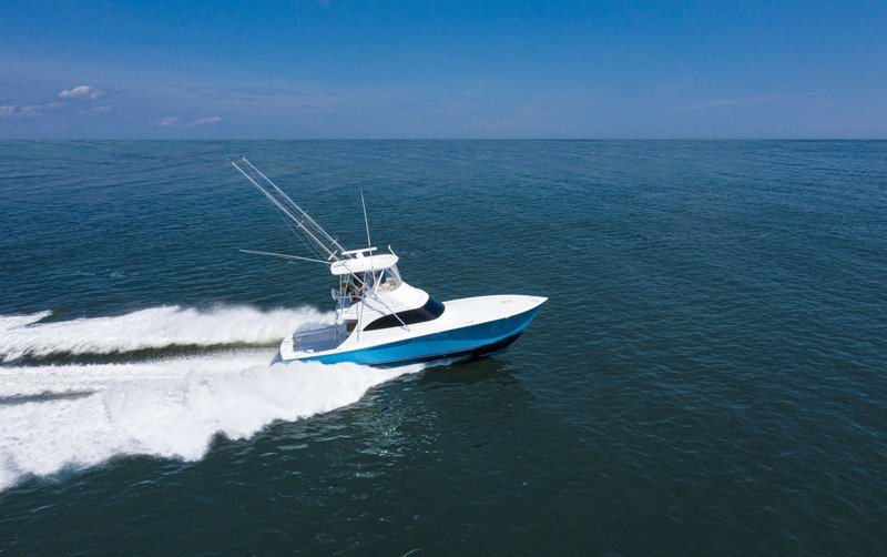 46 Billfish