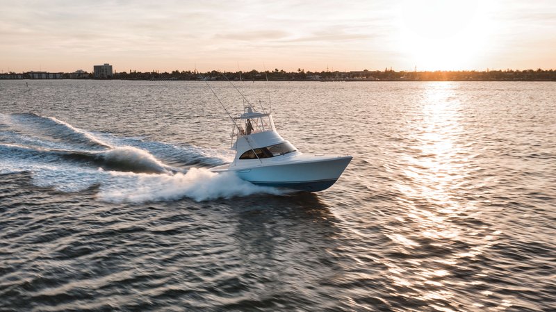 38 Billfish
