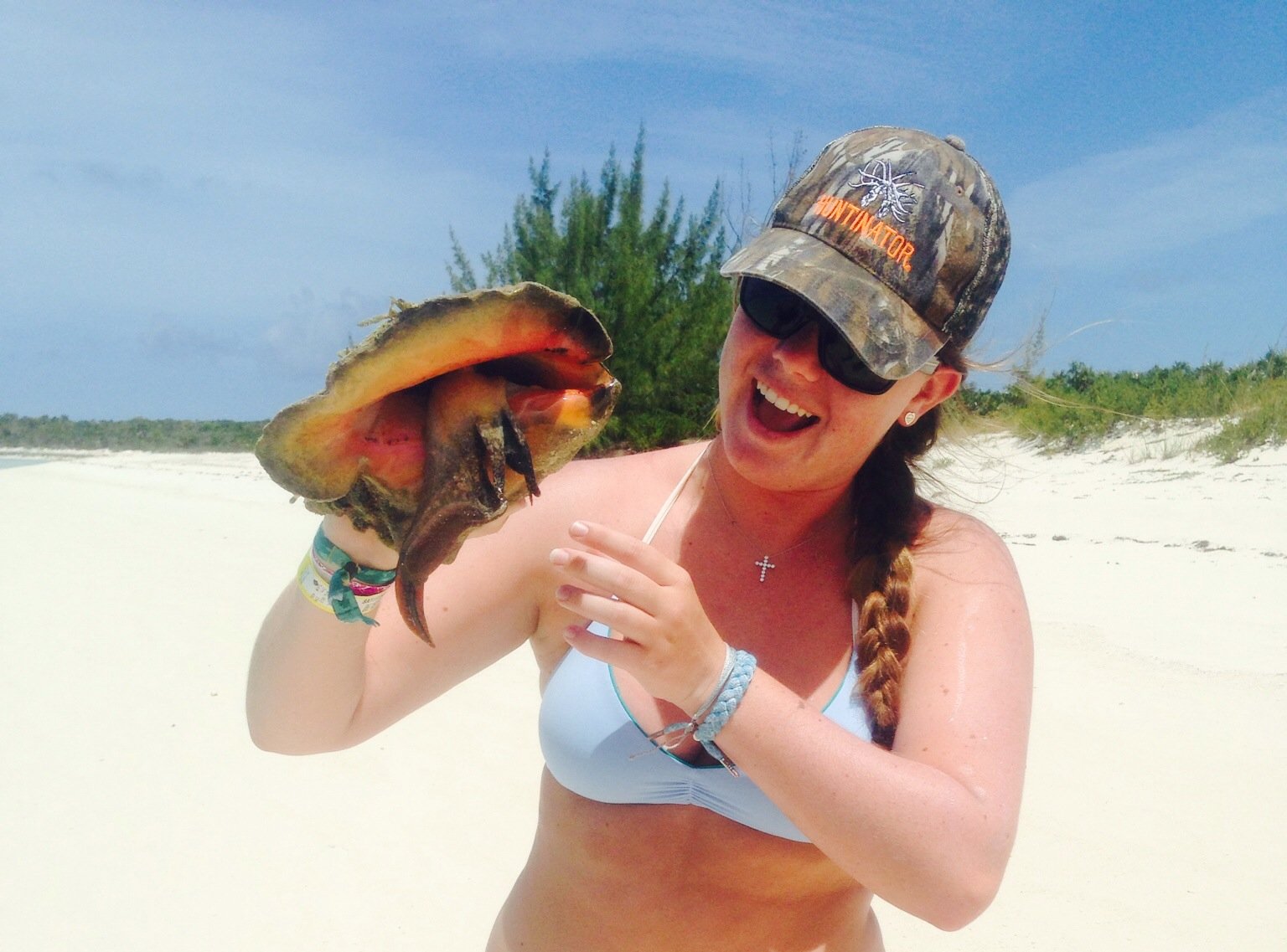 Image 2104: Lewis Conch