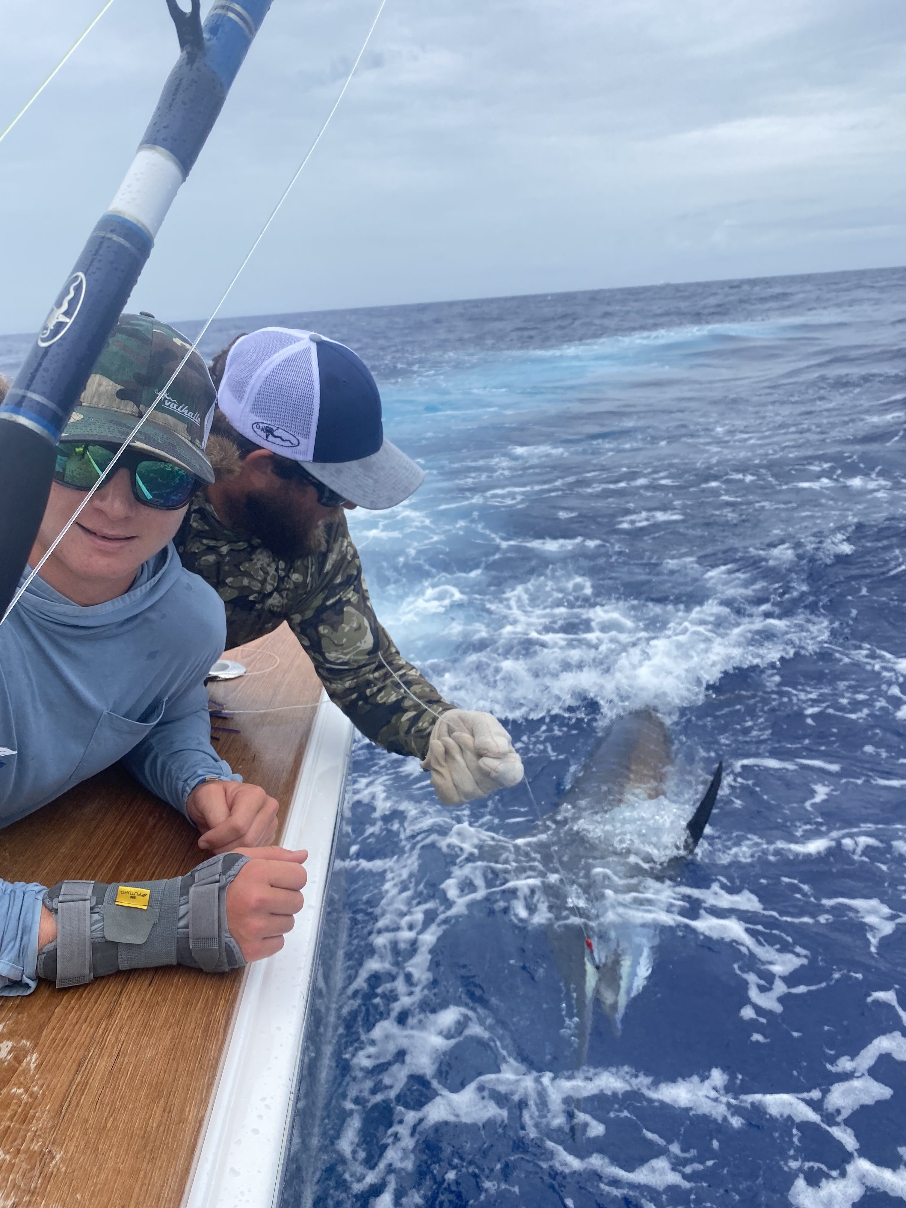 Blue marlin next to sportfish in the water.