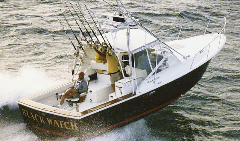 30 Sport fisherman