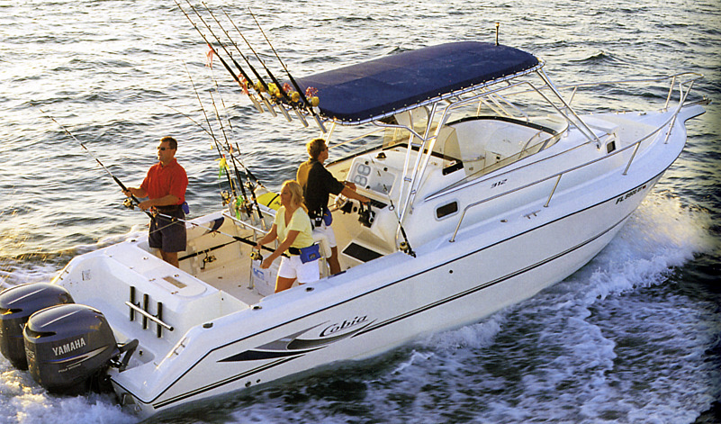 312 Sport Cabin