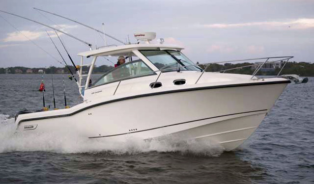 315 Conquest
