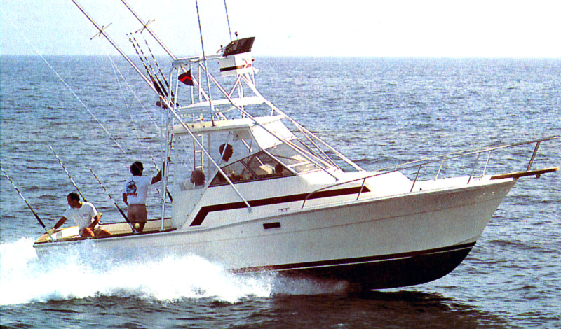 29 Sportfisherman