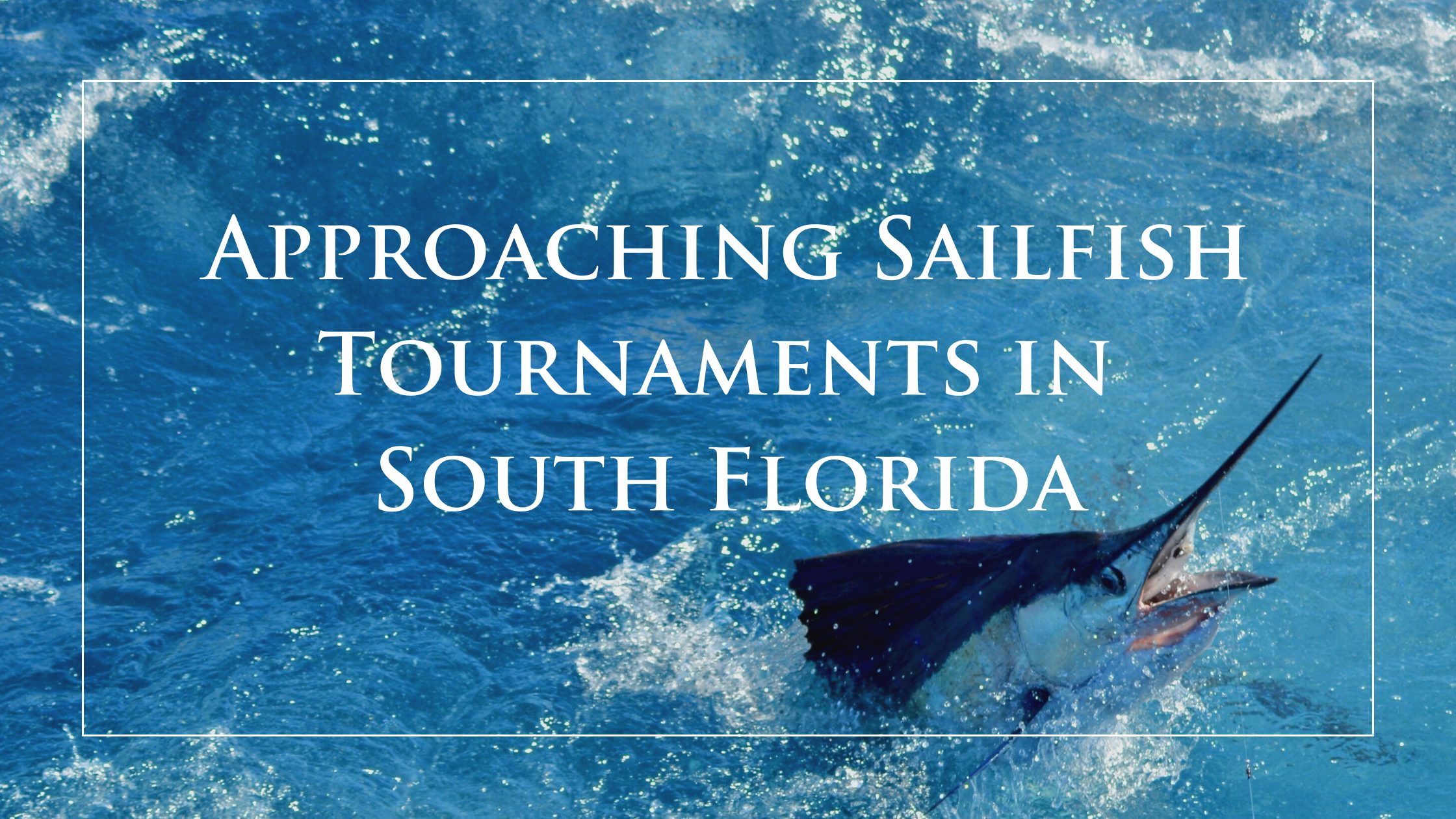 Approaching Sailfish Tournaments in South Florida