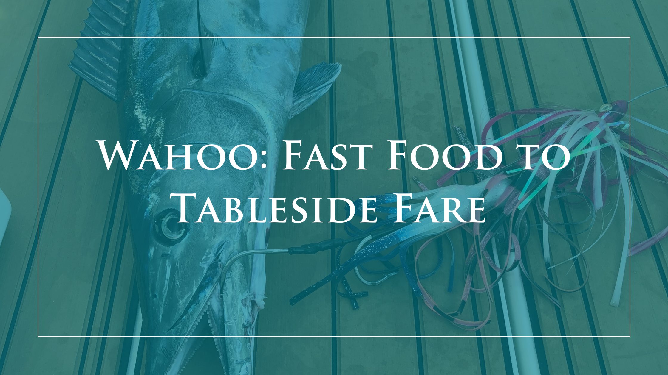 Wahoo: Fast Food to Tableside Fare